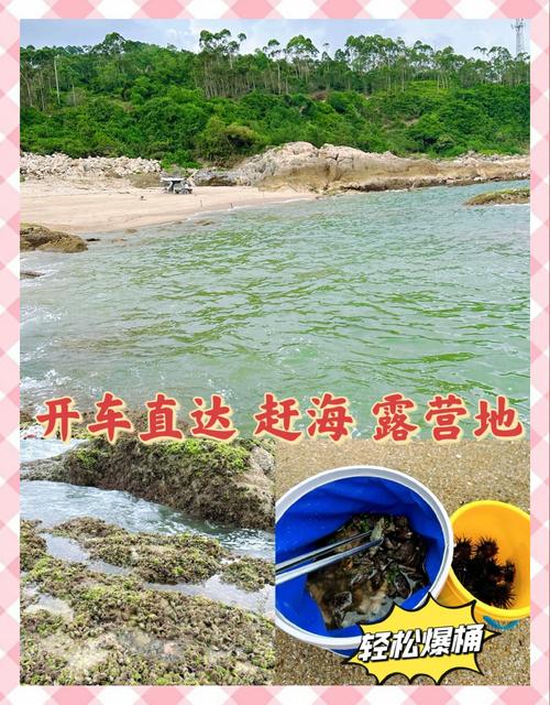 长岛旅游躺平赶海看日落！家门口就有免费赶海地，滩涂藏着大惊喜