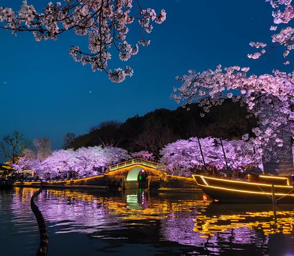 鼋头渚夜樱，这里是你的浪漫樱花打卡圣地