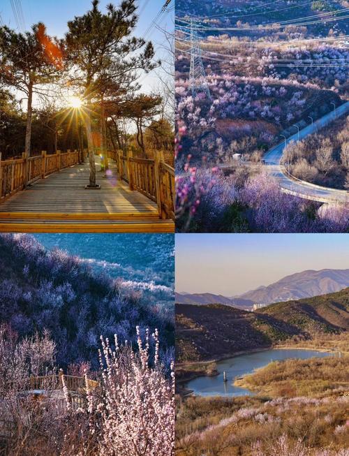 8个小众春日目的地，人少风景优，去小住几天或徒步踏春