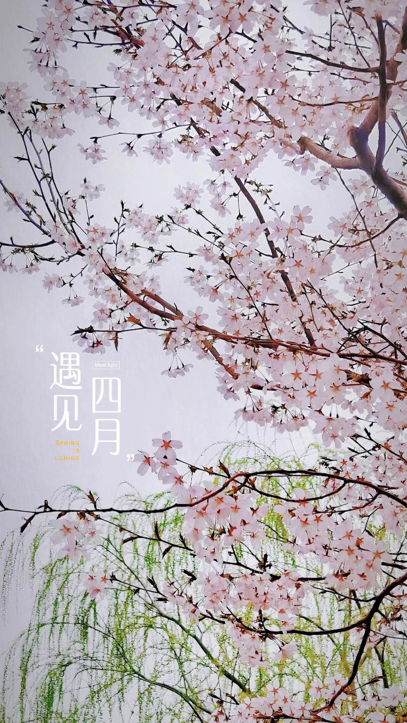 四月，奔赴康县，邂逅春日浪漫！