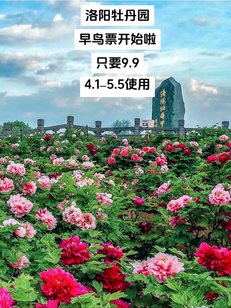 第42届中国洛阳牡丹文化节盛大开幕