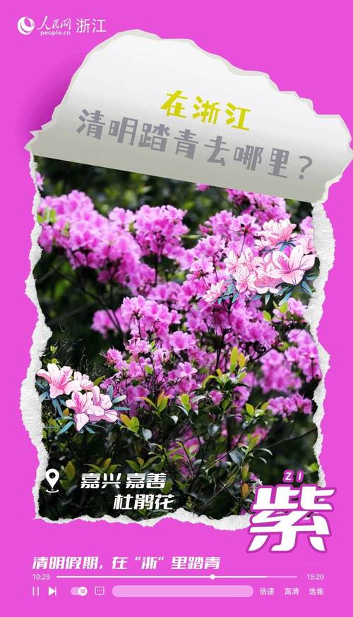 红橙黄绿青蓝紫…看花花花花花花