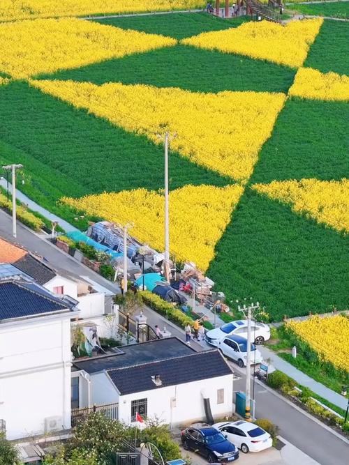 2025年4月3日