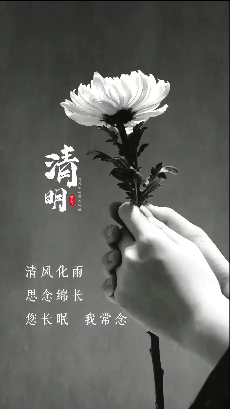 明天清明节没假放，搞点鸡心再来两杯酒安慰一下自己