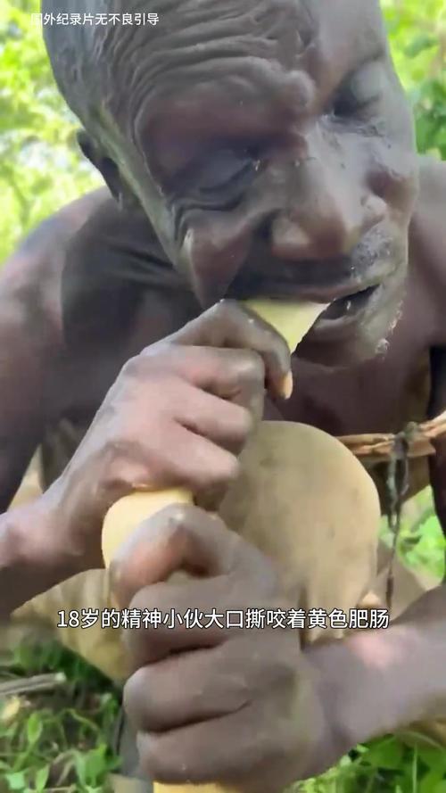 哈扎比部落 烹饪和食用猎物