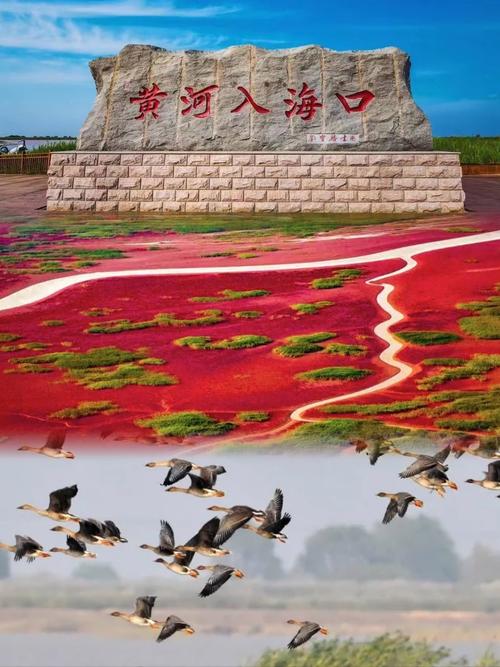 【黄河口生态旅游区】清明出游计划 黄河口，承包你的春日浪漫！