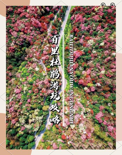 人间四月天，来贵州“追花”吧，赴一场春日之约~
