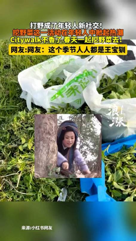 年轻人爱上挖野菜，美团旅行：清明小长假“打野”搜索量暴涨228%