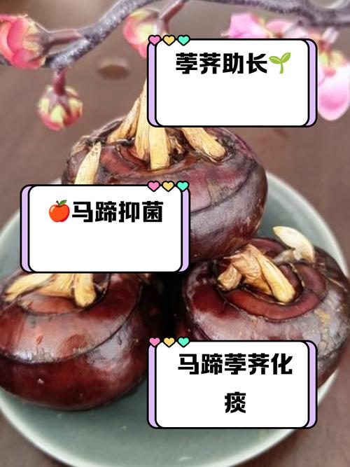 贵州市场监管局发来一份食用荸荠消费提示，请查收