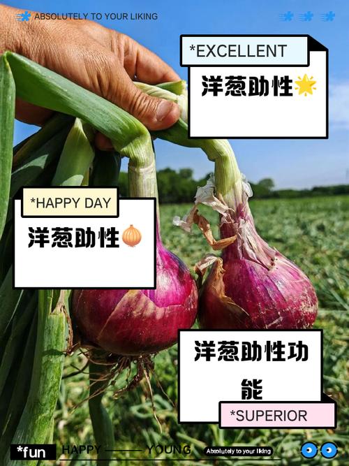 别再纠结！洋葱发芽到底能不能吃，一次讲清