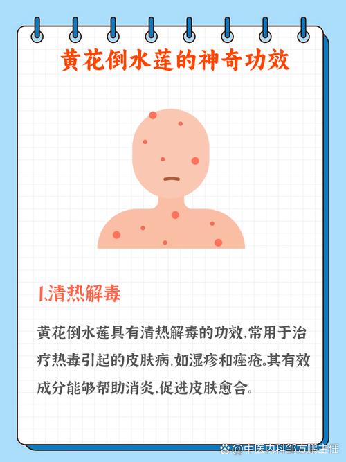 湿气重“水肿”怕它，清明扫墓遇见别错过，随手一煮，利尿消水肿