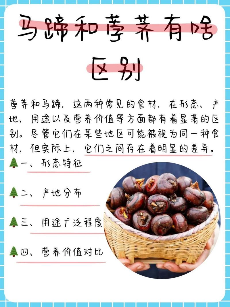 贵州市场监管局发来一份食用荸荠消费提示，请查收