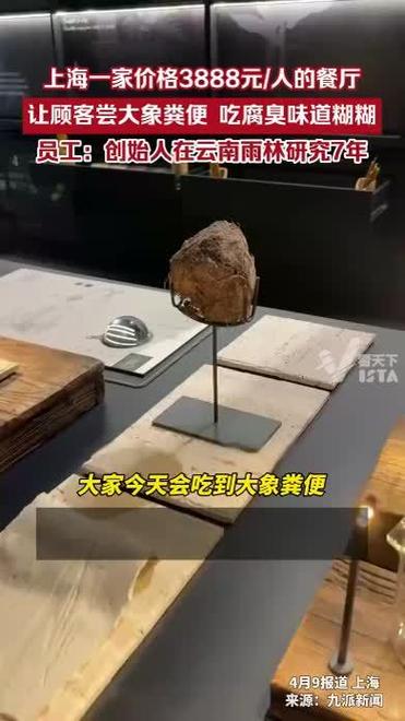 上海一人均4千餐厅让食客啃树叶、品尝大象粪便！员工：创始人研究了7年