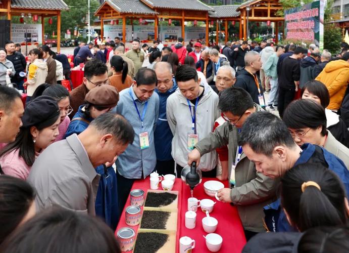赓续千年茶礼 杭州淳安举行千年茶树王祭祖仪式