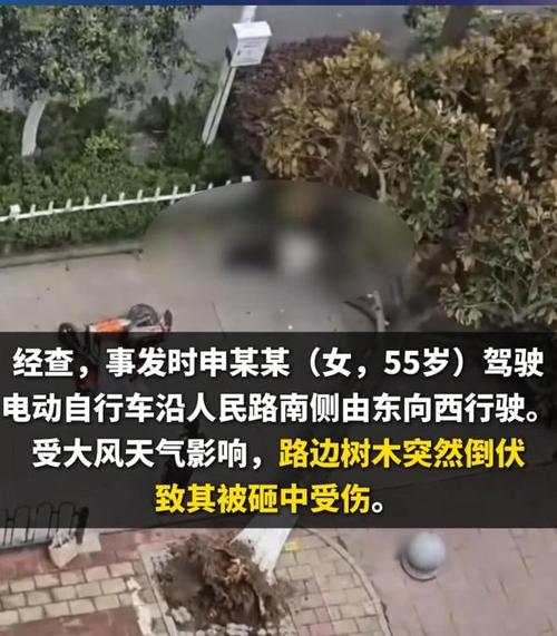 女子大风天被树砸倒身亡，官方通报
