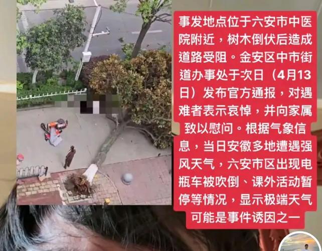 悲剧！安徽55岁女子被树砸身亡，现场令人痛心，律师：女子无过错