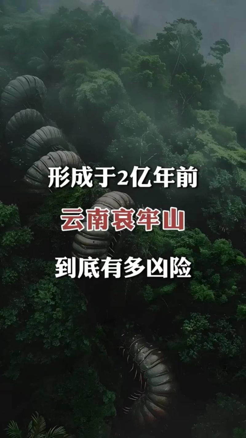 探秘云南虫谷哀牢山，号称这里是人类的禁区#哀牢山