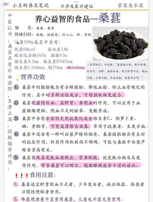 桑葚的N种打开方式：从鲜果到养生的甜蜜攻略
