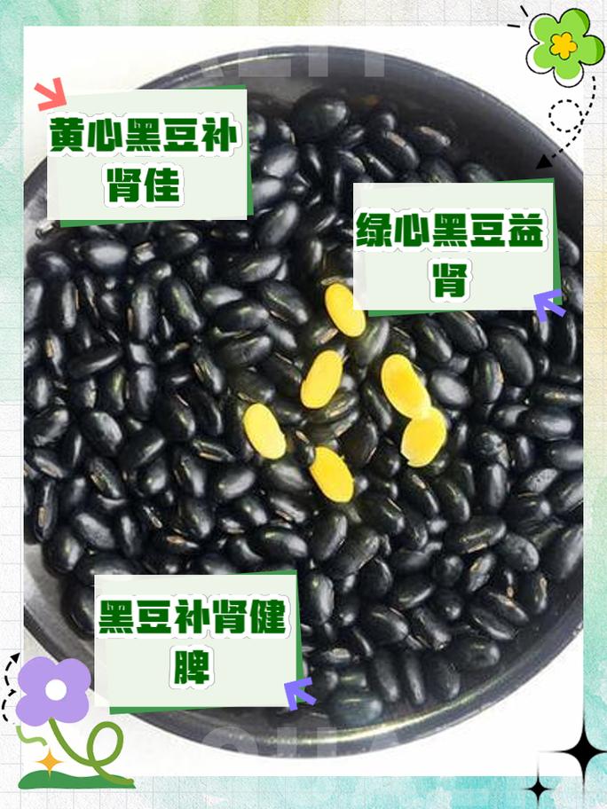 黑豆种类这么多，哪种最补肾？专家手把手教你挑，别再选错了！