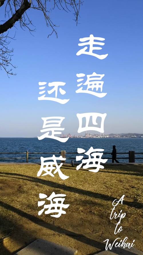 走在四海 鲜在威海