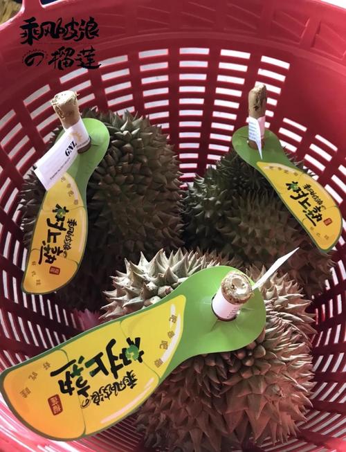 中国黑科技让马来西亚榴莲告别“盲盒”时代重塑全球水果贸易格局