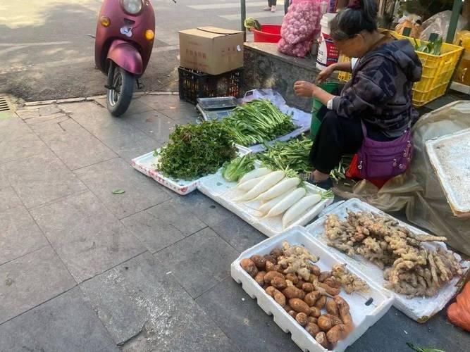 逛秦岭之心的早市，好多菜连名字都叫不上，发现生活在这里真好