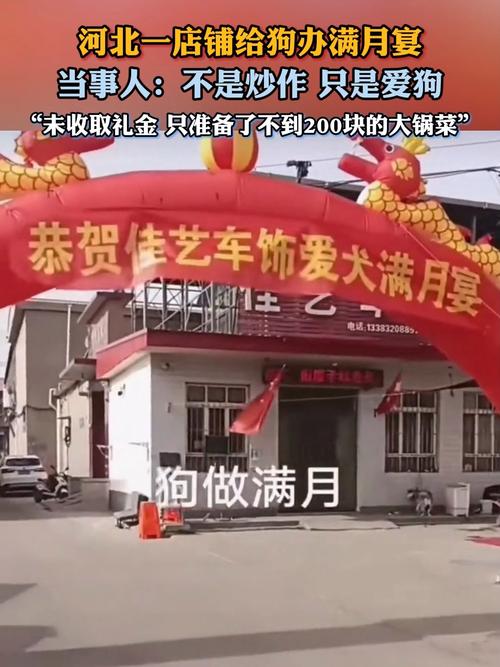 河北一店铺给狗办满月宴引争议，当事人：不是炒作，只是爱狗