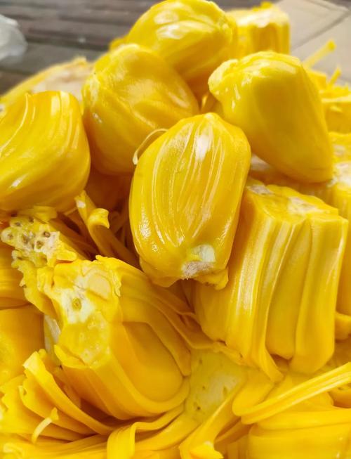 热带甜果的争议：菠萝蜜“上火”真相大起底