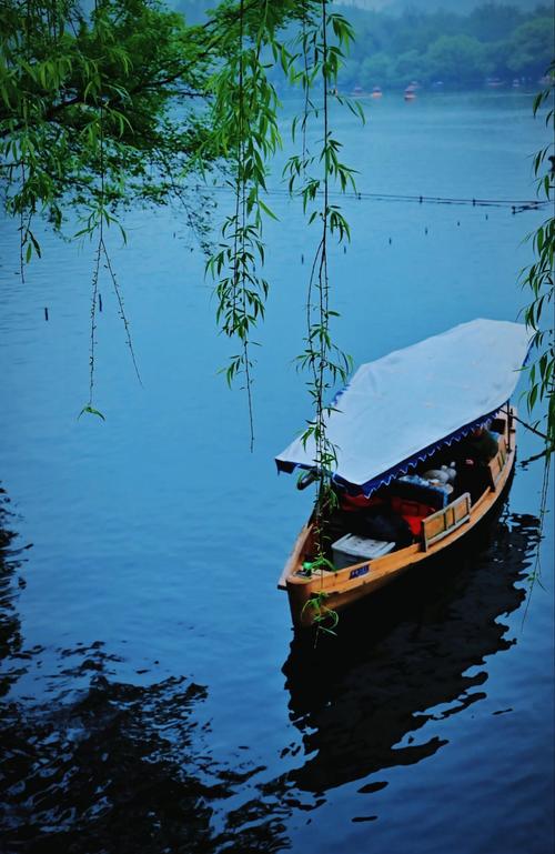 杭州西湖风光#文化旅游#杭州西湖#美丽中国 春光无限#纪实