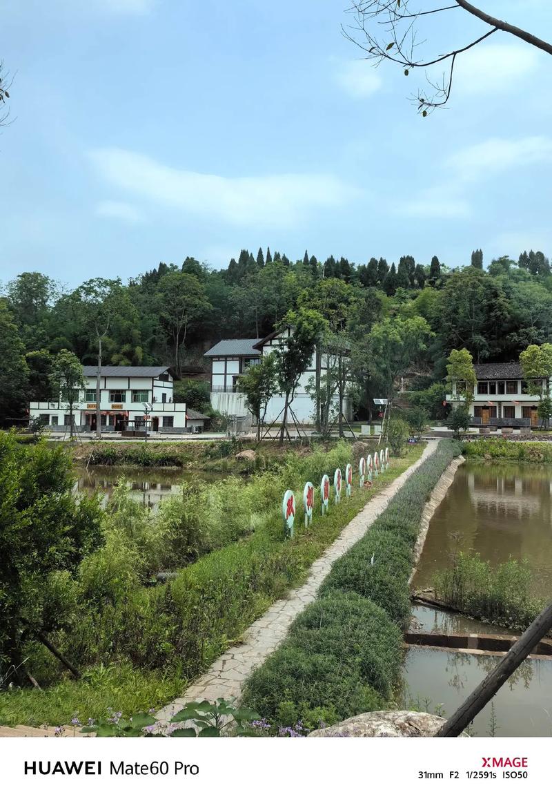 大美中国 走进蓬溪县