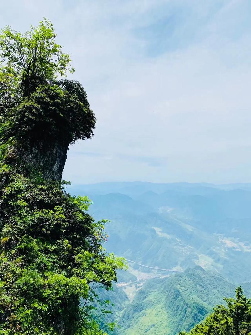 南郑区川陕交界处米仓山因其山体走势犹如盘龙主峰型若龙头而得名