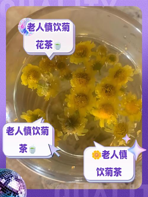 年龄大了不能喝菊花茶？牢记“2喝、3不喝”身体轻松精神头足