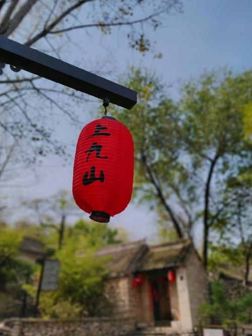 走吧，去济宁！来邹城 带您领略“洞槐望月”的奇观