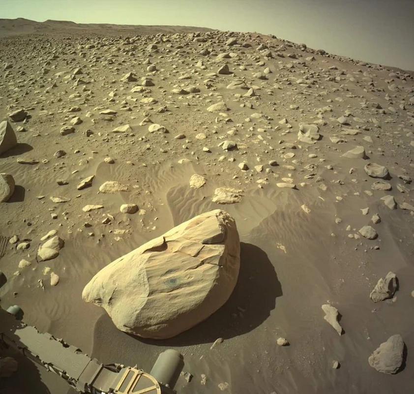 美国宇航局火星车重大发现：火星生物首次现身？