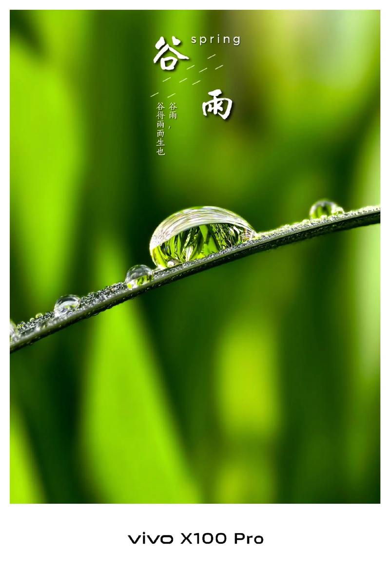 壹点日历4.20|今日谷雨！细雨绵绵润万物，轻风拂面唤新绿！