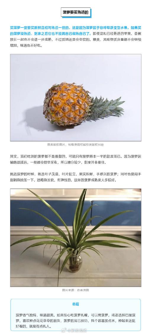吃菠萝不扎嘴的方法（不是泡盐水）不允许你不知道