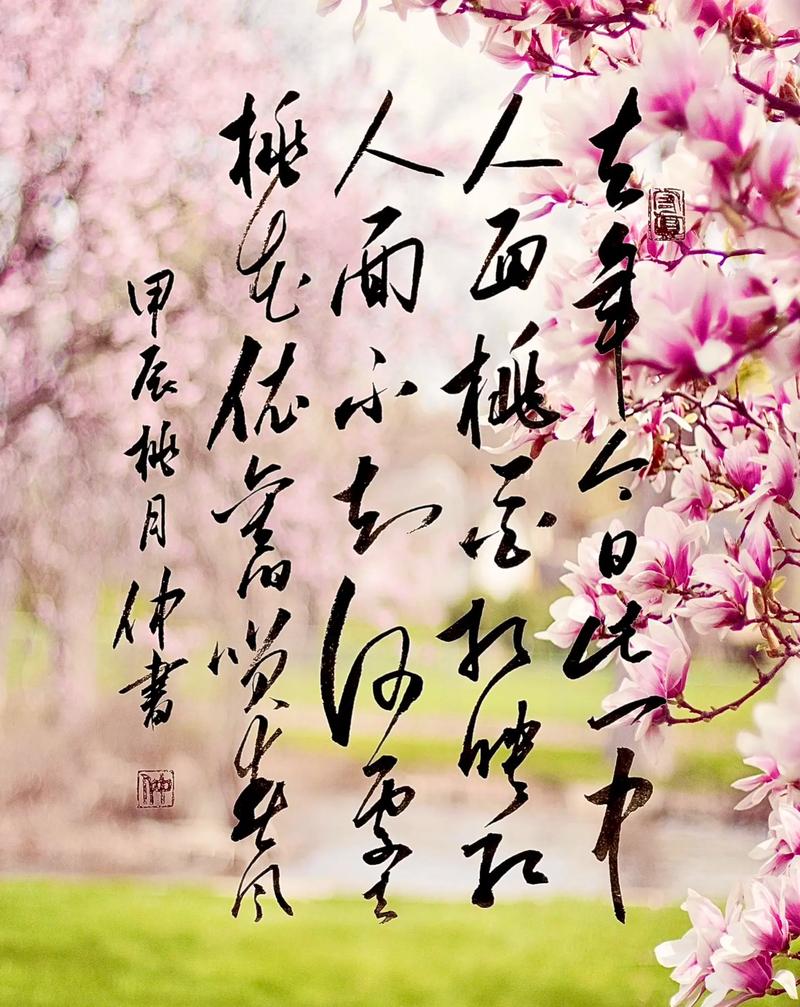 “君看今日树头花，不是去年枝上朵’隐藏在秦岭深处的世外桃源
