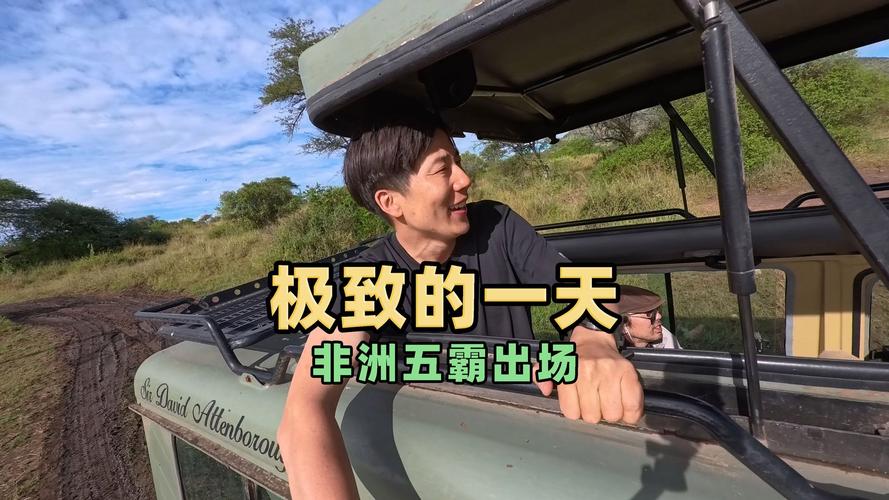 残酷、震撼！这就是非洲塞伦盖蒂大草原，连狮子崽都成了猎物
