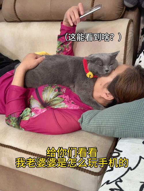 大妈到手机店去修手机，老板看了一眼后默默把亮度调到最高！