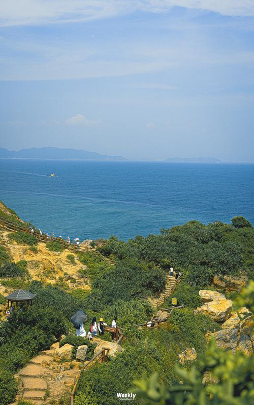 不要碰！深圳大梅沙已大量出现，严重可致命