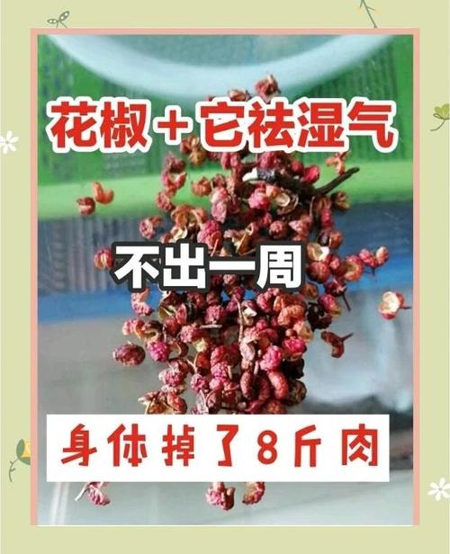 2025年4月21日 第5页