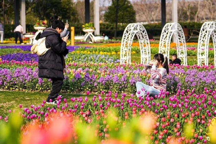 踏青、赏花、科技体验…解锁嘉祥新玩法！