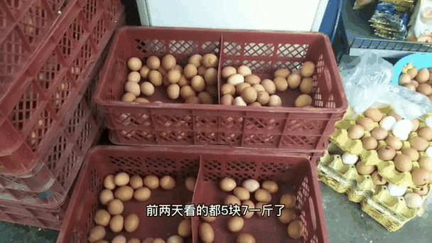 山东鸡蛋价格新鲜出炉，你猜多少钱一斤？