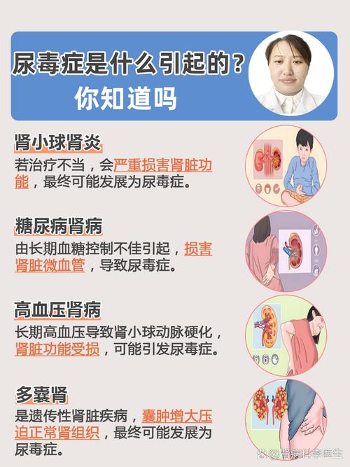 尿毒症的人越来越多，医生劝告：4种食物尽量少吃，肾会感激你