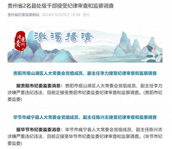 胡锦平接受审查调查