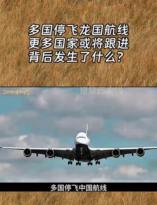 多国航司集体停飞我国航线，背后原因令人深思