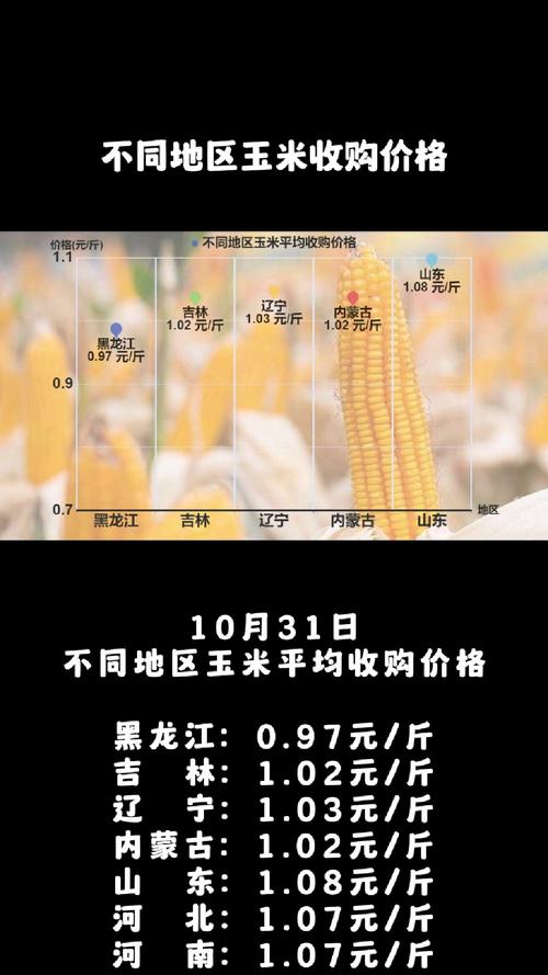 玉米价格突然大涨70！背后原因与未来走势分析