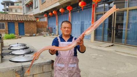 530买3条马鞭鱼，鱼嘴似烟管尾巴带天线，红烧意外的好吃