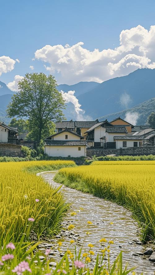 田园风光，诗情画意中的静谧时光