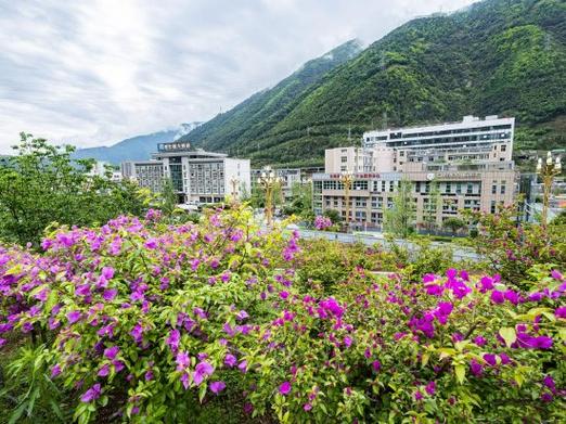 四川石棉：花开小城春意浓